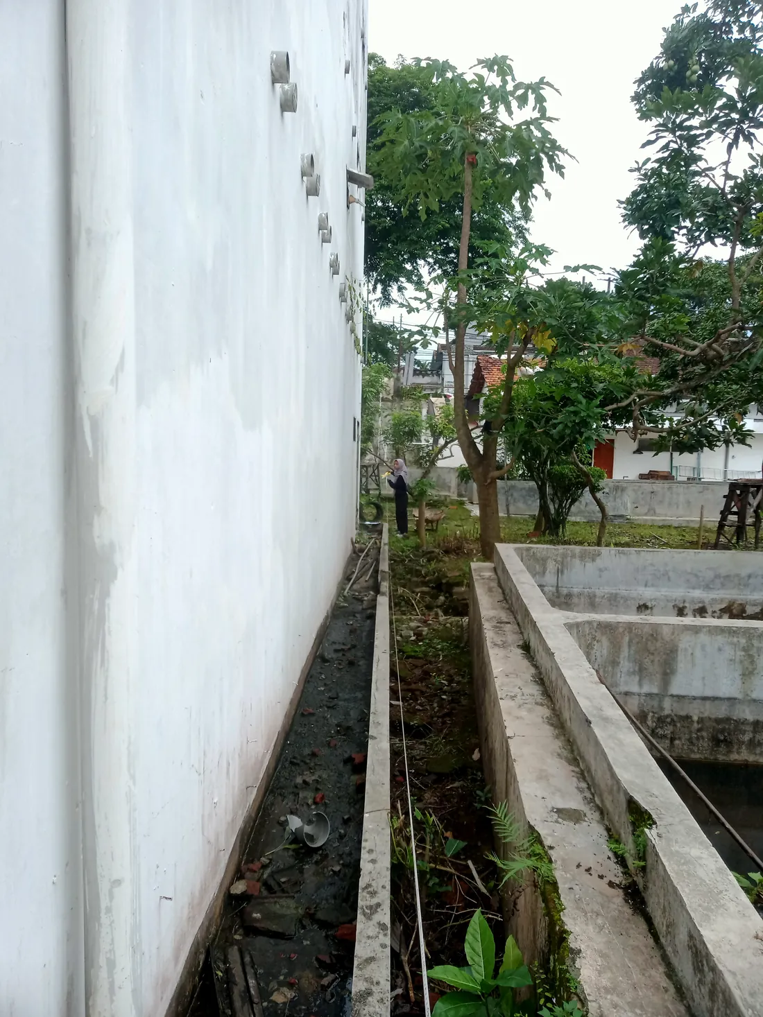 Survey site 3